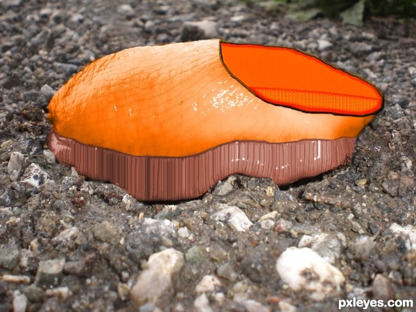 Creation of The Clog: Final Result